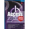 Access 2013 Podrobný průvodce Slavoj Písek