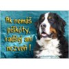 Pozorpes.sk, výstražná tabuľka (Bernský salašnícky pes)