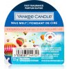Yankee Candle Watercolour Skies vosk do aromalampy 22 g