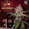 T.H.Seeds™ Semená kanabisu Mon Cherry, rôzne balenie, feminizované 6+1 ks