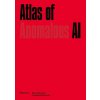 The Atlas of Anomalous AI