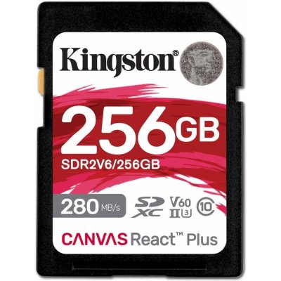 Kingston 256GB SDR2V6/256GB