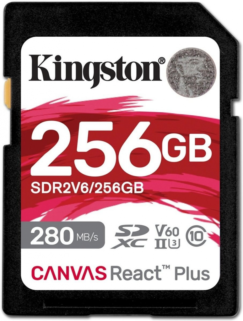 Kingston 256GB SDR2V6/256GB