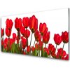 Obraz na skle Kvety 100x50 cm