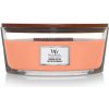 WoodWick Manuka Nectar 453,6 g