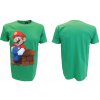 Nintendo Mario Block Green