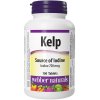 Webber Naturals Kelp 575 mg 100 tbl