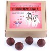 Kolagénový doplnok výživy - CHONDRO BALL kĺbová výživa pre psov 500g exp.30.06.2025