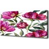 Foto obraz na plátne do obývačky Ružové pivónie 100x50 cm