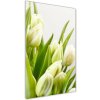 Vertikálny foto obraz fotografie na skle Biele tulipány 50x100 cm