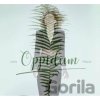 Lenka Filipová: Oppidum LP - Lenka Filipová