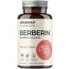 ALLNATURE Berberin Extrakt 98% 500 mg 60 kapsúl