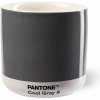 Pantone Latte termo Cool Gray 210 ml