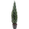 Umelý strom Cyprus tmavý v kvetináči, 270cm