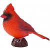 Mojo Kardinál červený