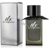 Burberry Mr. Burberry parfumovaná voda pánska 100 ml