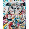 zuty Maľovanie podľa čísel - Kvetinová sova, 40x50 cm, vypnuté plátno na rám (8596530014133)