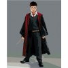 Zuty – Maľovanie podľa čísel – Harry Potter v habite s prútikom, 40 × 50 cm, plátno + rám 8596530238973