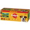 PEDIGREE Adult Mix chutí 40x100g