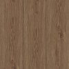 kiwi now | 40KN522 Opal Oak Coffee