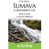 E-kniha Šumava a Bavorský les - Petr Hejna