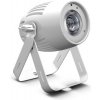Cameo Q-SPOT 40 WW WH