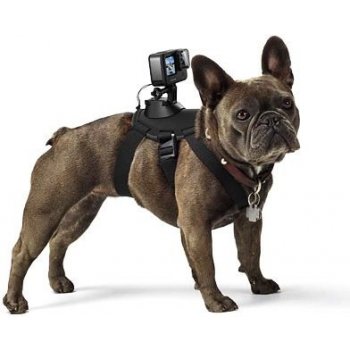 GoPro Fetch ADOGM-001