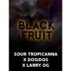 Tramuntana Seeds - Black Fruit 3 ks - Semená neobsahujú THC.