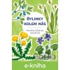 E-kniha Bylinky kolem nás - Markéta Růženka Vopičková