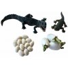 Figúrky Animal Life Životný cyklus Krokodíla (FAS034411)