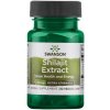 Swanson Shilajit Extract 100 mg 30 kapsúl
