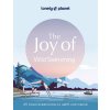 Lonely Planet the Joy of Wild Swimming 1 (Planet Lonely)