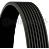 CONTINENTAL CTAM Ozubený klinový remeň 8PK1310EXTRA