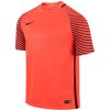 Nike Brankářský dres Gardien 725889 671