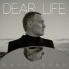 Gray David - Dear Life [CD]
