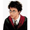 Zuty Harry Potter portrét 40 x 50 cm vypnuté plátno na rám 8596530132370