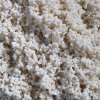 Europet Bernina Aqua Della Aquarium Gravel beach 1-2 mm 10 kg
