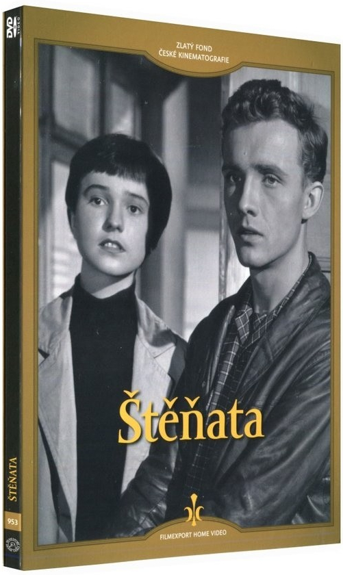 Štěňata DVD