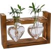 Sklenená váza s dreveným rámom, Srdcovitý tvar pre hydroponiu - 2 vázy