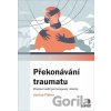 Překonávání traumatu - Janina Fisher