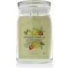 Yankee Candle vonná sviečka Praline & Birch 567 g Iced Berry Lemonade