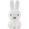 Mr Maria Lampička na baterky MIFFY LED, 2700K, biela