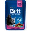 Brit Premium Cat with Chicken and Turkey 100 g