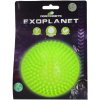 Dog Comets Exoplanet ježatá lopta zelená L/10cm