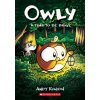 Time to Be Brave: A Graphic Novel (Owly #4) (Andy Runton)(Brožovaná)