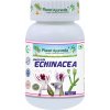 Indická Echinacea (Právenka latnatá), 500mg 60 kapsúl