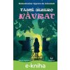 E-kniha Tajné jezero – Návrat - Karen Inglis
