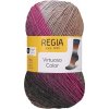 Regia Virtuoso Color Lazy Afternoon Pletacia priadza