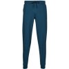 Puma Tepláky/Vrchné oblečenie RAD/CAL PANTS DK Námornícka modrá