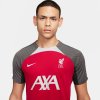 Nike Liverpool FC Strike SS Top M tričko FD7084-688 M